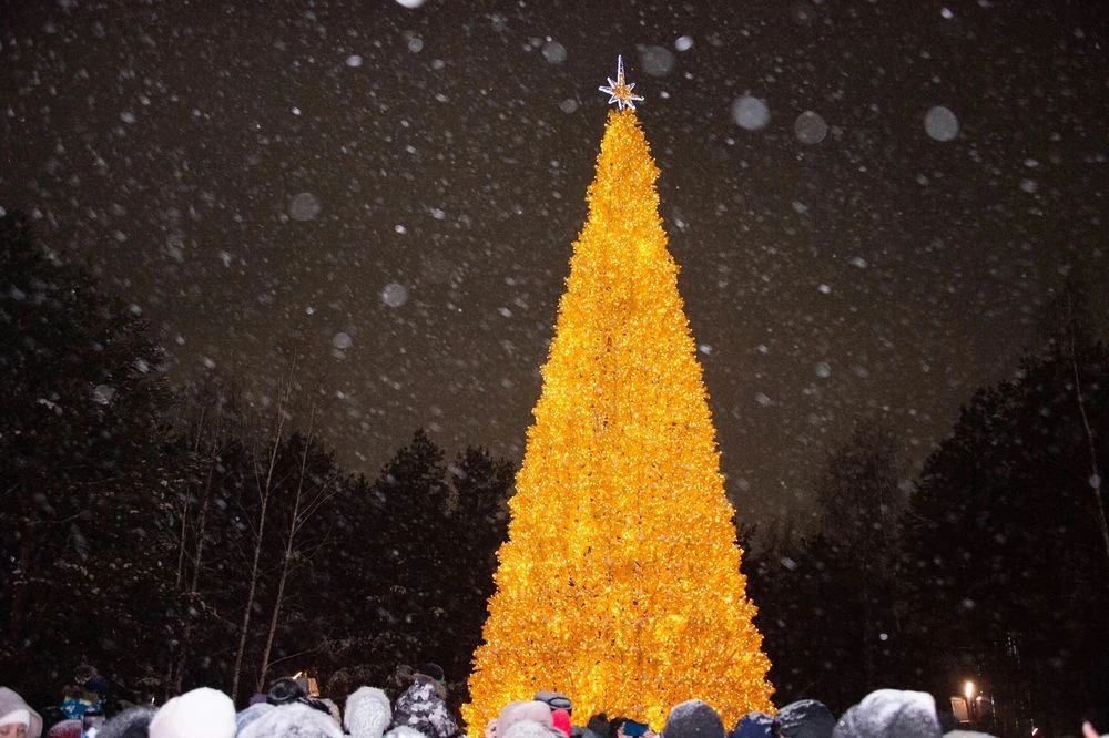 новогодняя ёлка в парке Семья