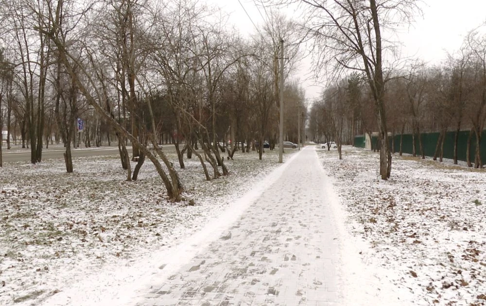 тротуар под снегом деревья зима