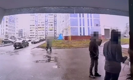 В Нижнекамске задержали подозреваемого в нападении с ножом на прохожего - НТР 24