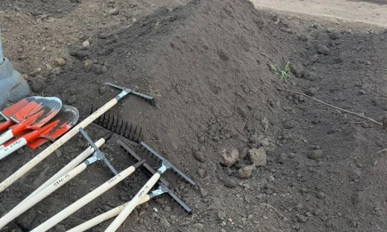 Собственники смогут сами выбрать назначение земли по новому классификатору - телеканал НТР 24