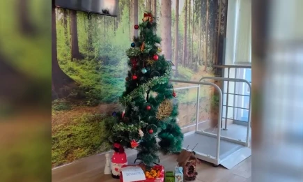 Пациентка оставила под ёлкой врачам нижнекамской больницы новогодний сюрприз - телеканал НТР 24