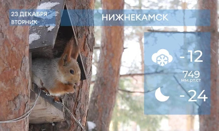 Прогноз погоды в Нижнекамске на 23-е декабря 2025 года - телеканал НТР 24