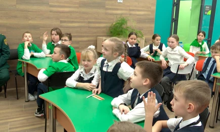 В Нижнекамске прошла викторина о зимующих птицах для школьников - телеканал НТР 24