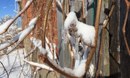 Резкая смена погоды: Когда в Татарстане ударит оттепель до +2 градусов - телеканал НТР 24