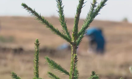 Зима не спешит: в Татарстане потеплеет до +2 градусов - телеканал НТР 24