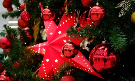 Роспотребнадзор Татарстана дал рекомендации по выбору новогодних украшений - телеканал НТР 24