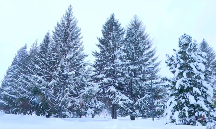 В Татарстане 17 декабря ожидается снежная и ветреная погода с гололедицей - телеканал НТР 24