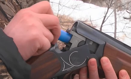 В Татарстане изменился порядок получения охотничьего билета в 2025 году - телеканал НТР 24