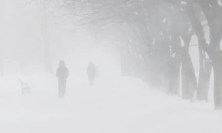 Татарстан в ближайшие дни ждут метели и потепление до 0 градусов - телеканал НТР 24