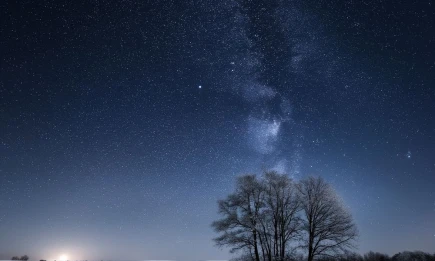 В самую длинную ночь года татарстанцы смогут посмотреть на звездопад - телеканал НТР 24