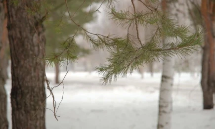 Когда в Татарстане наступит самый тёплый день недели, рассказали синоптики - телеканал НТР 24