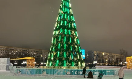 Одиночество или уют: социолог рассказала о феномене тихого Нового года в России - телеканал НТР 24