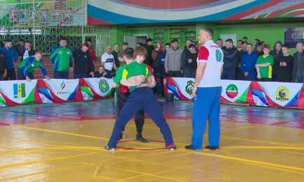 Более 200 спортсменов съедутся в Нижнекамск на турнир по борьбе на поясах - НТР 24