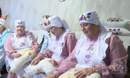 В Татарстане для пожилых людей организовано более 1,8 тыс. мероприятий - телеканал НТР 24