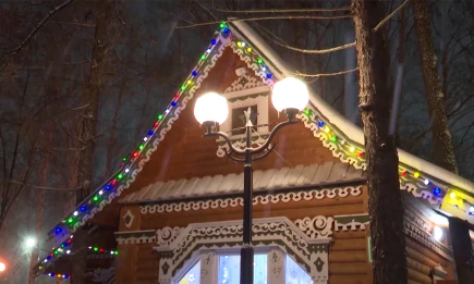 Новогодняя афиша Нижнекамска: концерты, игры и катки до 11 января - телеканал НТР 24