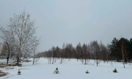 Последние выводные 2025 года начнутся в Татарстане с метели и гололедицы - телеканал НТР 24