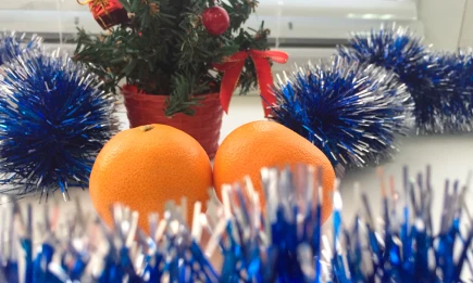 Рекомендации по меню и декору для Нового года 2026 от экспертов - телеканал НТР 24