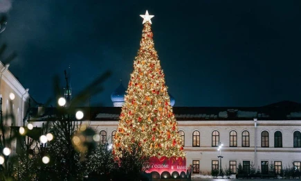 Рецепт идеальных новогодних каникул! - телеканал НТР 24