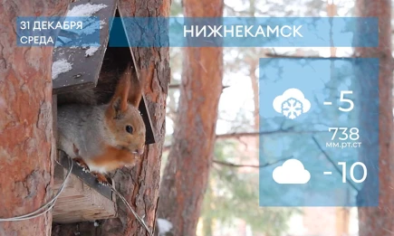 Прогноз погоды в Нижнекамске на 31-е декабря 2025 года - телеканал НТР 24