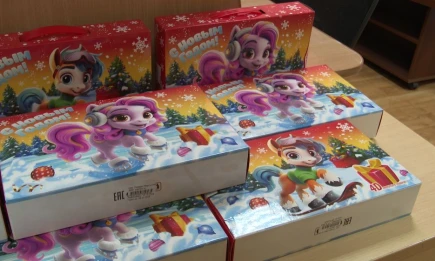 Нижнекамцы начали приносить подарки для акции «Стань Дедом Морозом!» - телеканал НТР 24