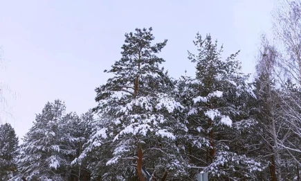 Сколько ещё продлятся морозы в Татарстане - телеканал НТР 24