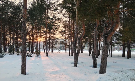 Метель и похолодание: синоптики предупредили о непогоде в Татарстане 14 декабря - телеканал НТР 24