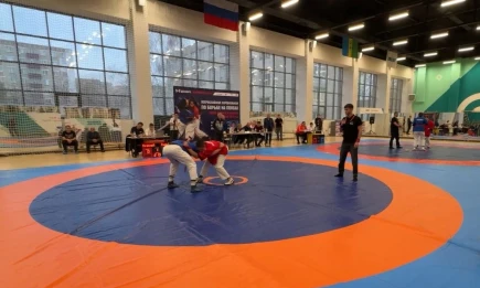 Два нижнекамца завоевали медали на турнире памяти Шамиля Садриева - телеканал НТР 24