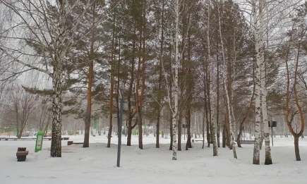 К середине недели снег покроет почти всю Россию — прогноз Вильфанда - телеканал НТР 24