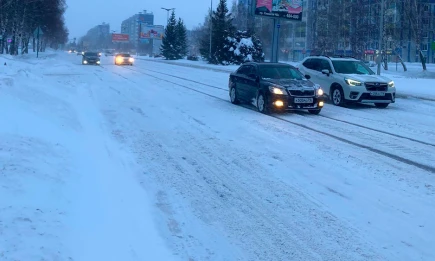 Как выбрать безопасную и эффективную «незамерзайку»: советы эксперта - телеканал НТР 24