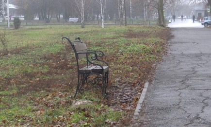 Зима откладывается: синоптики Татарстана дали прогноз на первую неделю декабря - НТР 24