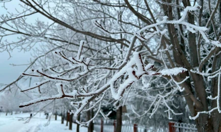 В Татарстане 11 декабря объявлено предупреждение из-за снегопада и гололёда - телеканал НТР 24