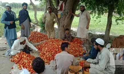 Татарстан станет отправной точкой нового логистического коридора в Афганистан - телеканал НТР 24