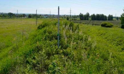 Археологи нашли новые укрепления у Новошешминского городища в Татарстане - НТР 24