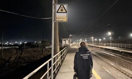 В Татарстане мужчина перебегал железную дорогу и попал под поезд - НТР 24