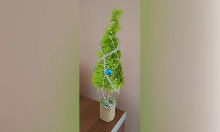 10 ёлок своими руками из подручных материалов: оригинальные идеи на Новый год - телеканал НТР 24