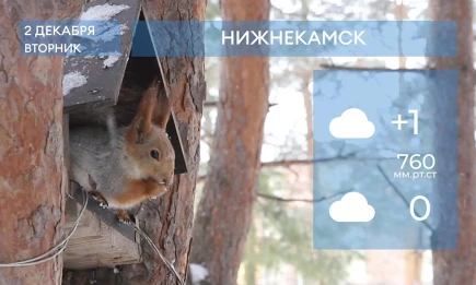 Прогноз погоды в Нижнекамске на 2-е декабря 2025 года - НТР 24