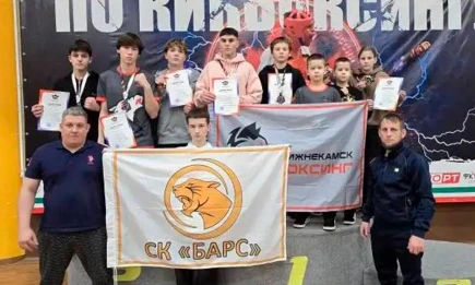 Нижнекамские кикбоксеры завоевали 12 медалей на чемпионате РТ - телеканал НТР 24