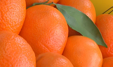 Эксперт КФУ раскрыл секреты выбора идеальных мандаринов к Новому году - телеканал НТР 24