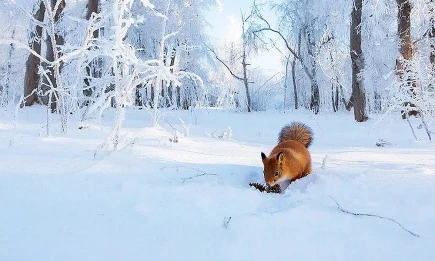 От +1 до лютых морозов за сутки: Татарстан накроет резкое похолодание уже завтра - телеканал НТР 24