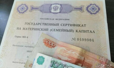 Что нужно для оформления ежемесячной выплаты из маткапитала - НТР 24
