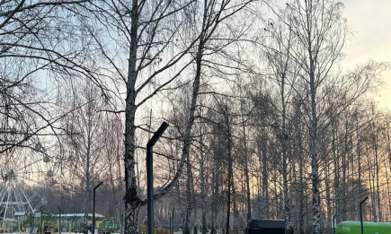 Готовьтесь к морозам: резкое похолодание прогнозируется в Татарстане - телеканал НТР 24