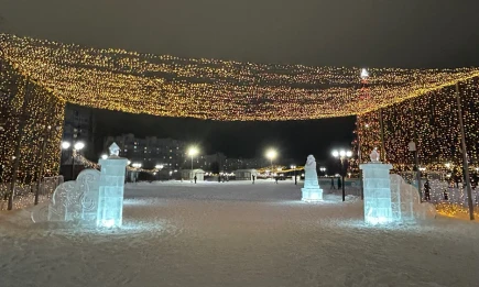 Россиянам дали советы по выбору безопасных новогодних гирлянд - телеканал НТР 24