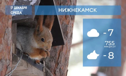 Прогноз погоды в Нижнекамске на 17-е декабря 2025 года - телеканал НТР 24