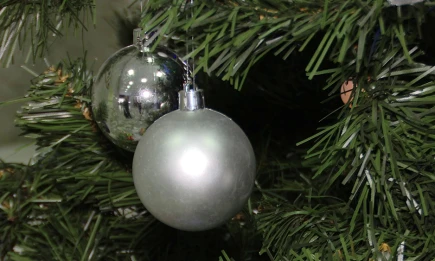 В рамках «Ёлки желаний» Асгат Сафаров станет Дедом Морозом для четырёх детей - НТР 24