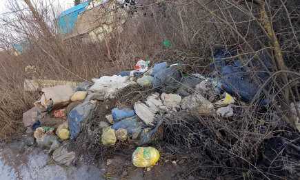 В Нижнекамске выявили незаконную свалку на территории СНТ «Нефтехимик» - НТР 24