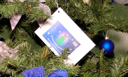 Акция «Ёлка желаний» в Нижнекамске поможет детям погибших участников СВО - НТР 24