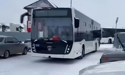 Нижнекамск получил новые автобусы НЕФАЗ - телеканал НТР 24