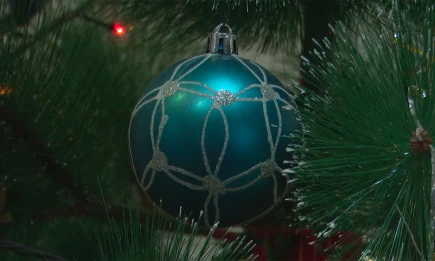 В Нижнекамске откроется новогодняя мастерская с живым вокалом и Дедом Морозом - телеканал НТР 24