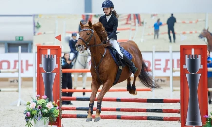 Наездники спортшколы «Актай» из Нижнекамска одержали серию побед на новогоднем кубке в Казани - телеканал НТР 24