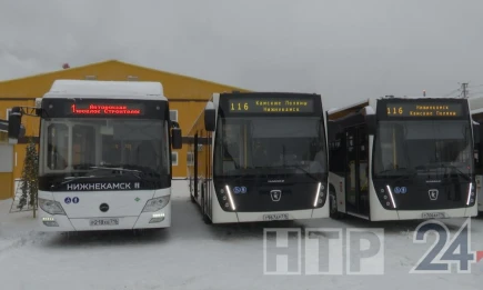 Новые автобусы выходят на рейсы в Нижнекамске - телеканал НТР 24